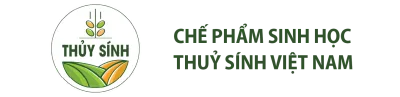 Công ty TNHH Thủy Sính